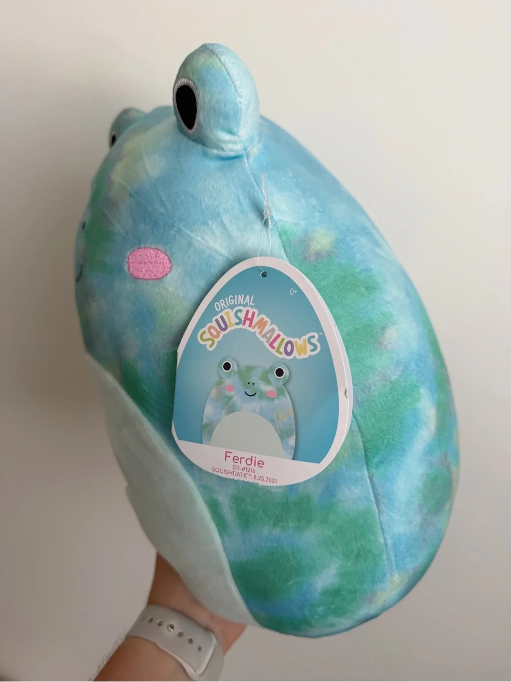 Tie-Dye Ferdie the Frog Squishmallow Plush in Aqua & Green